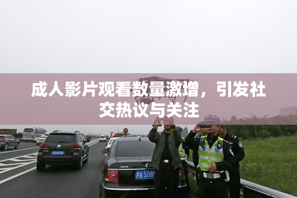 成人影片观看数量激增，引发社交热议与关注