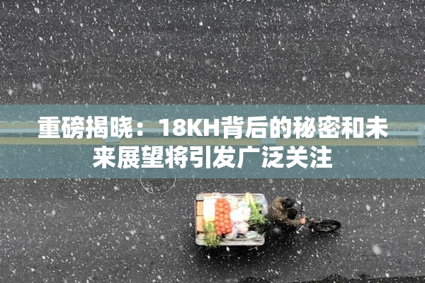 重磅揭晓：18KH背后的秘密和未来展望将引发广泛关注