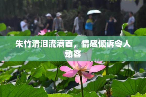 朱竹清泪流满面，情感倾诉令人动容