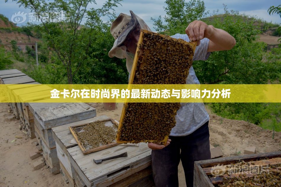 金卡尔在时尚界的最新动态与影响力分析