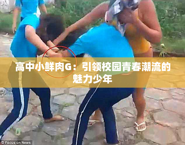高中小鲜肉G：引领校园青春潮流的魅力少年