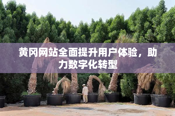 黄冈网站全面提升用户体验，助力数字化转型