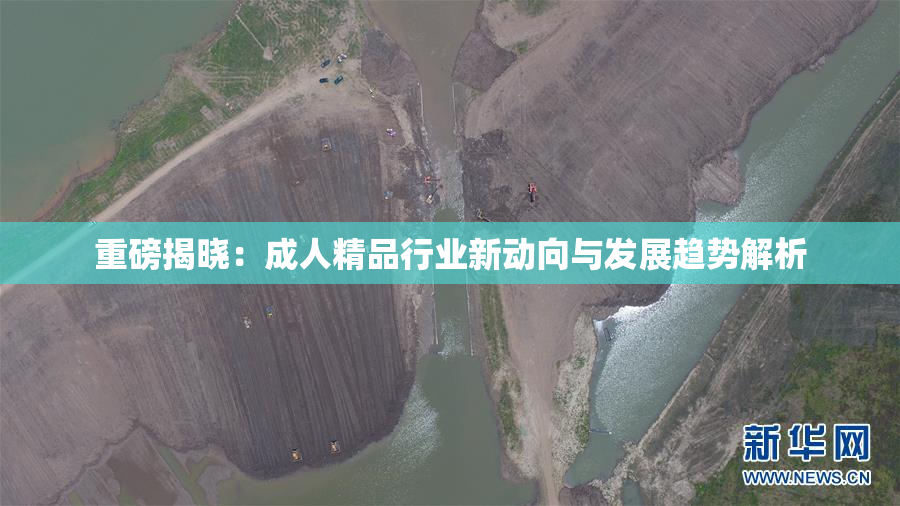 重磅揭晓：成人精品行业新动向与发展趋势解析