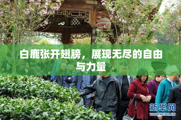 白鹿张开翅膀，展现无尽的自由与力量