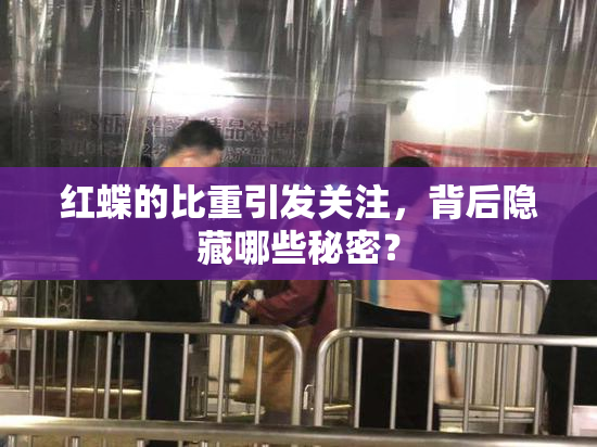 红蝶的比重引发关注，背后隐藏哪些秘密？