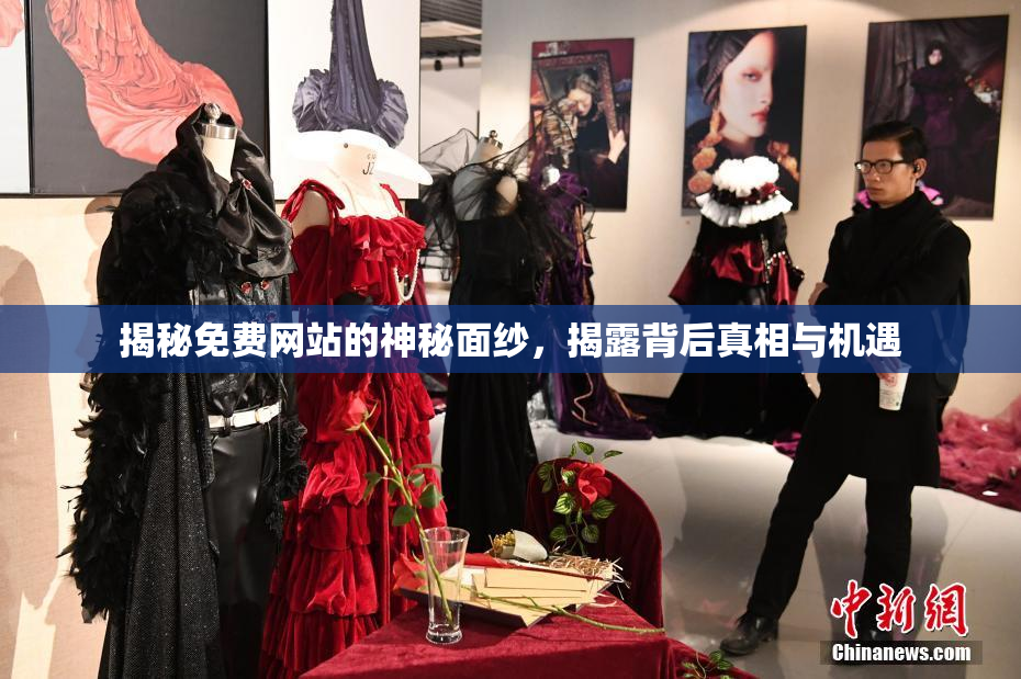 揭秘免费网站的神秘面纱，揭露背后真相与机遇