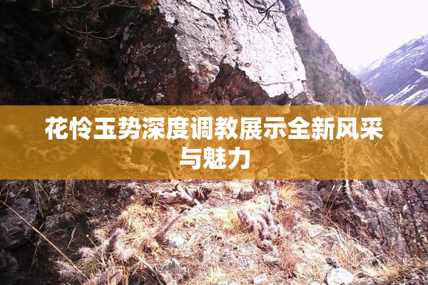 花怜玉势深度调教展示全新风采与魅力
