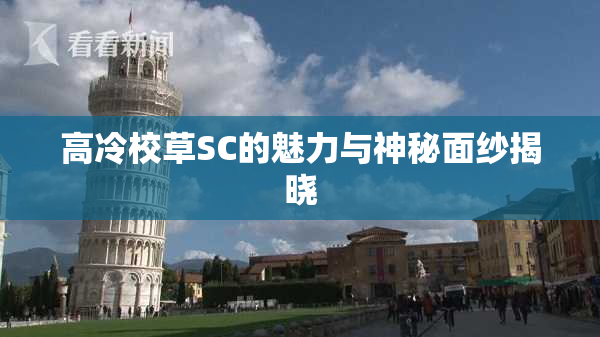 高冷校草SC的魅力与神秘面纱揭晓