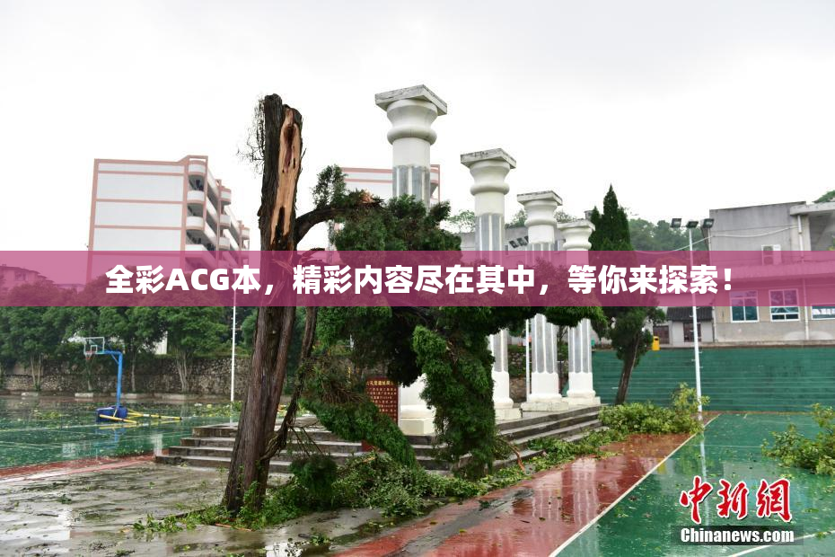 全彩ACG本，精彩内容尽在其中，等你来探索！