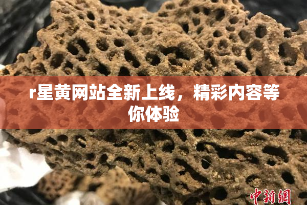 r星黄网站全新上线，精彩内容等你体验