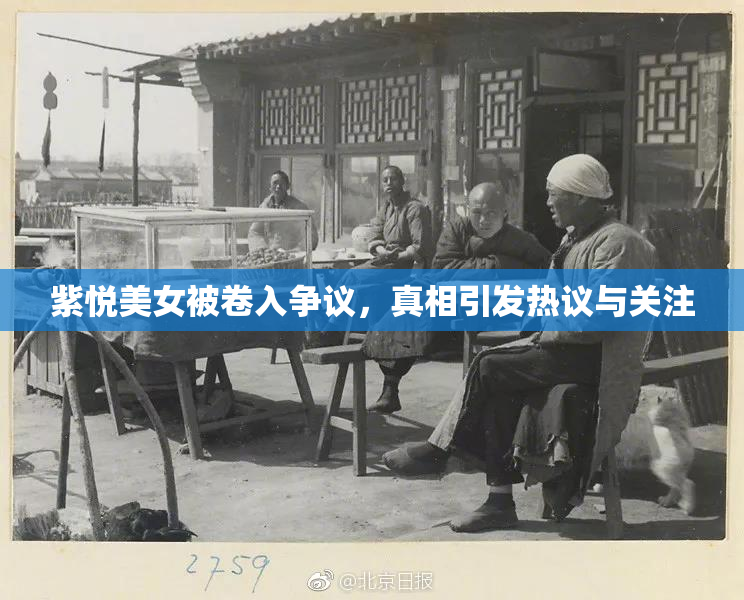 紫悦美女被卷入争议，真相引发热议与关注