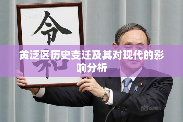 黄泛区历史变迁及其对现代的影响分析