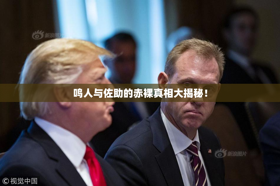 鸣人与佐助的赤裸真相大揭秘！