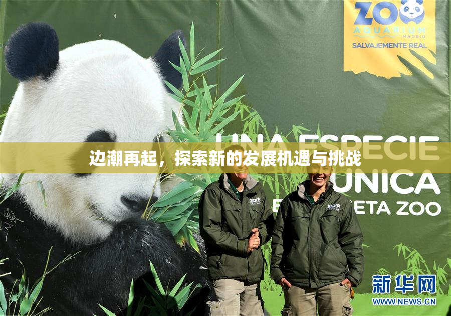 边潮再起，探索新的发展机遇与挑战