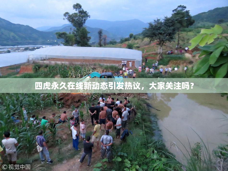 四虎永久在线新动态引发热议，大家关注吗？