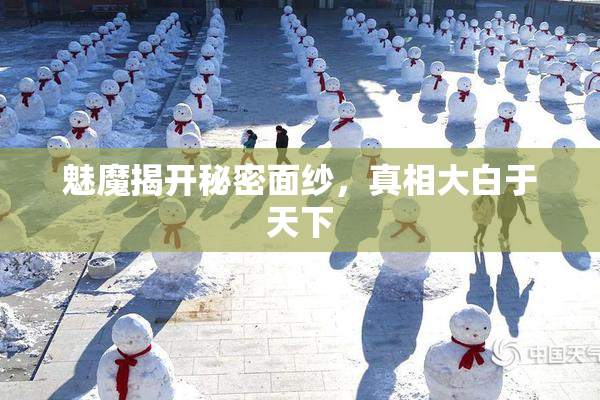 魅魔揭开秘密面纱，真相大白于天下