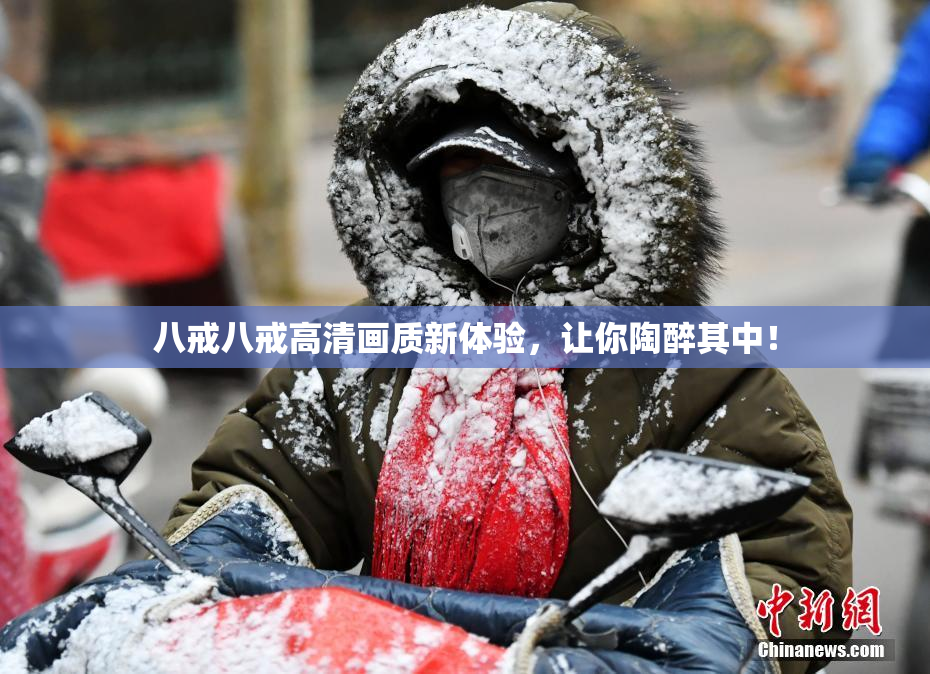 八戒八戒高清画质新体验，让你陶醉其中！