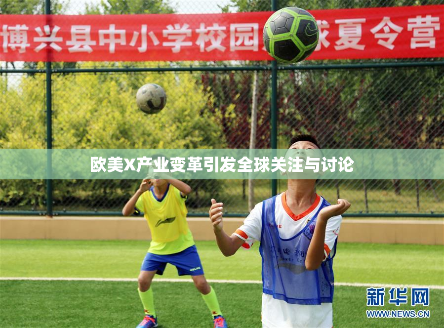欧美X产业变革引发全球关注与讨论