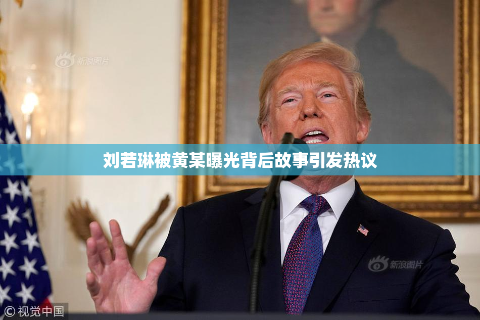 刘若琳被黄某曝光背后故事引发热议
