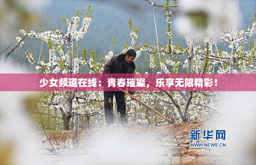 少女频道在线：青春璀璨，乐享无限精彩！