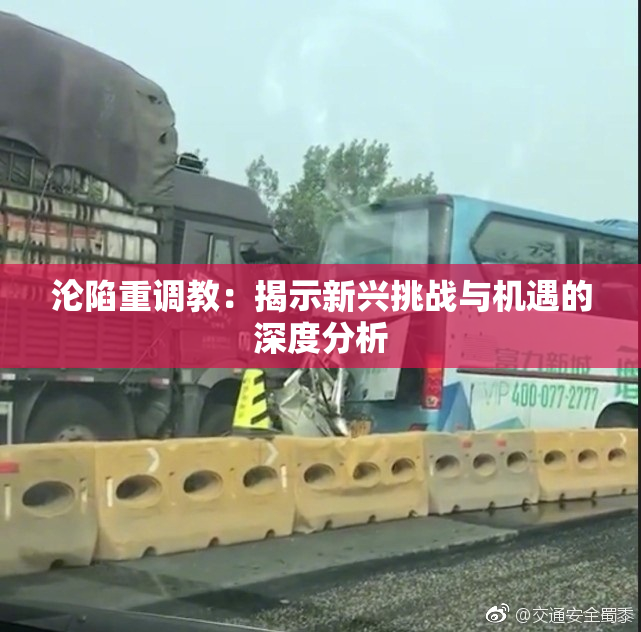 沦陷重调教：揭示新兴挑战与机遇的深度分析