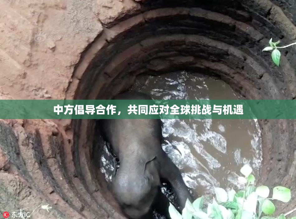 中方倡导合作，共同应对全球挑战与机遇