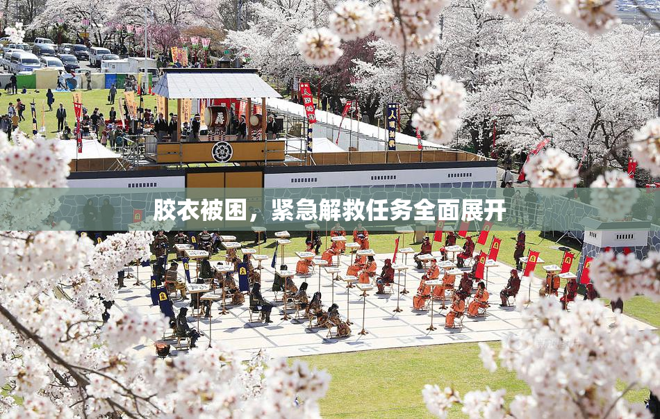 胶衣被困，紧急解救任务全面展开