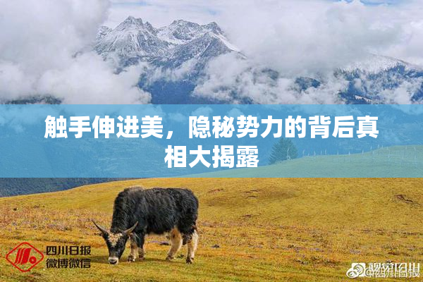触手伸进美，隐秘势力的背后真相大揭露