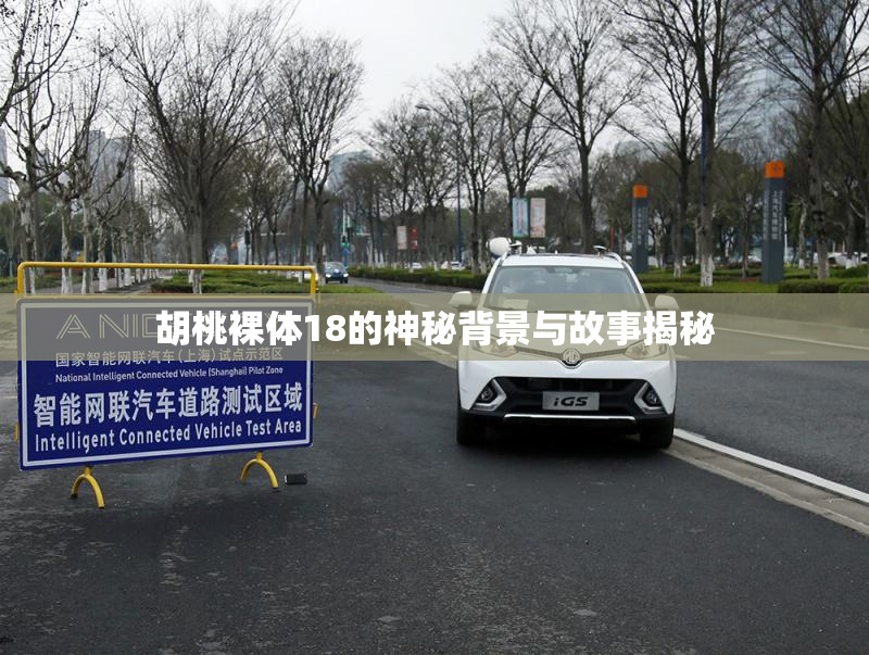 胡桃裸体18的神秘背景与故事揭秘