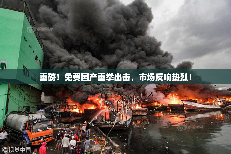 重磅！免费国产重拳出击，市场反响热烈！
