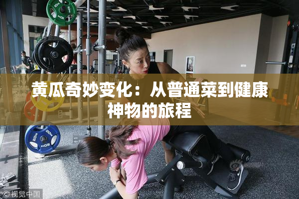 黄瓜奇妙变化：从普通菜到健康神物的旅程