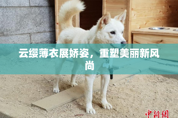 云缨薄衣展娇姿，重塑美丽新风尚