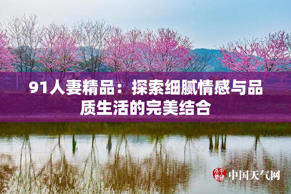 91人妻精品：探索细腻情感与品质生活的完美结合