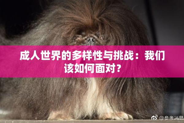 成人世界的多样性与挑战：我们该如何面对？