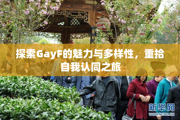 探索GayF的魅力与多样性，重拾自我认同之旅