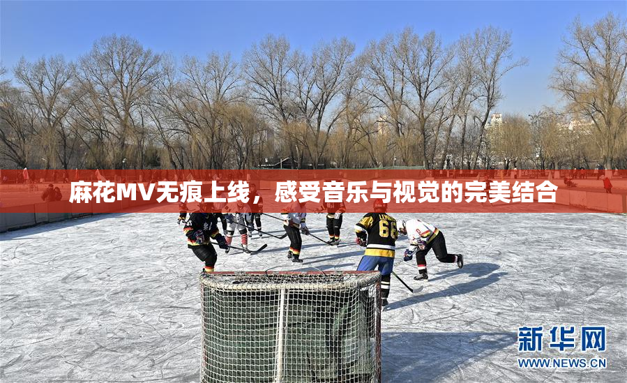 麻花MV无痕上线，感受音乐与视觉的完美结合