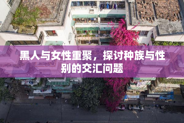 黑人与女性重聚，探讨种族与性别的交汇问题