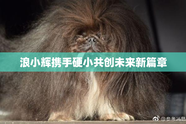 浪小辉携手硬小共创未来新篇章