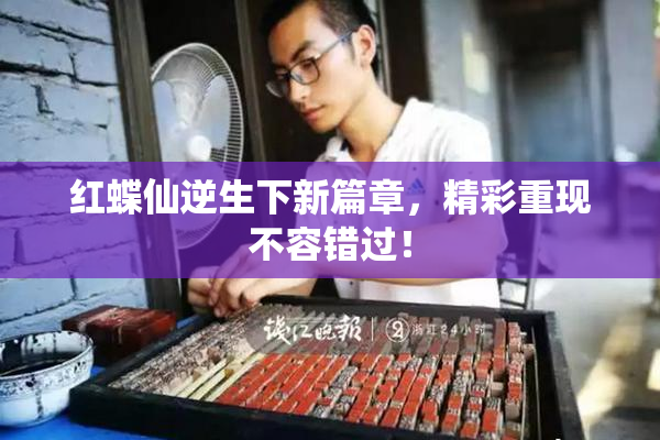 红蝶仙逆生下新篇章，精彩重现不容错过！