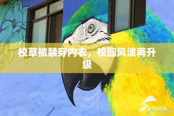 校草被禁穿内衣，校园风波再升级