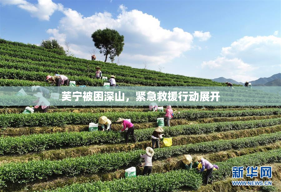芙宁被困深山，紧急救援行动展开