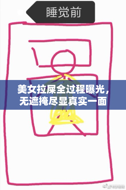 美女拉屎全过程曝光，无遮掩尽显真实一面