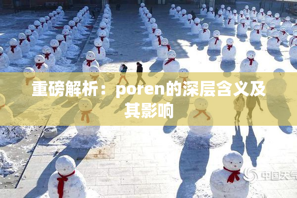 重磅解析：poren的深层含义及其影响