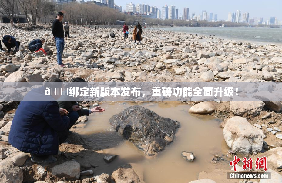 🔞绑定新版本发布，重磅功能全面升级！