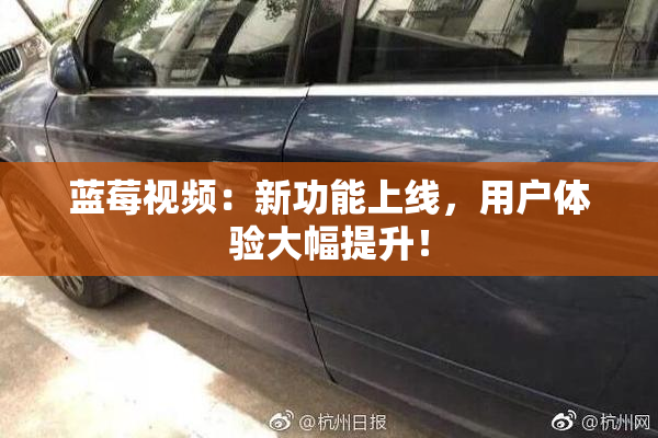 蓝莓视频：新功能上线，用户体验大幅提升！