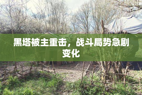 黑塔被主重击，战斗局势急剧变化