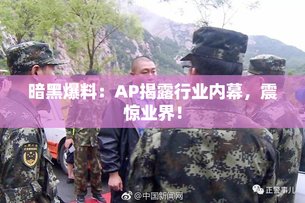 暗黑爆料：AP揭露行业内幕，震惊业界！