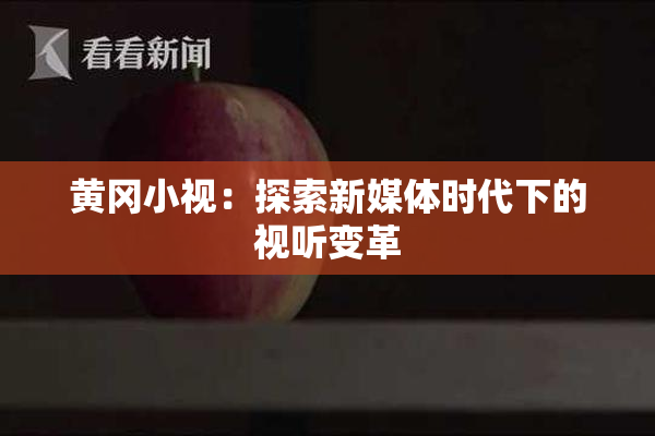 黄冈小视：探索新媒体时代下的视听变革