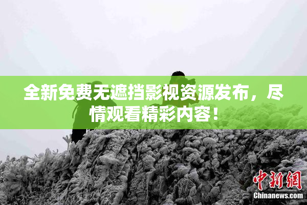 全新免费无遮挡影视资源发布，尽情观看精彩内容！