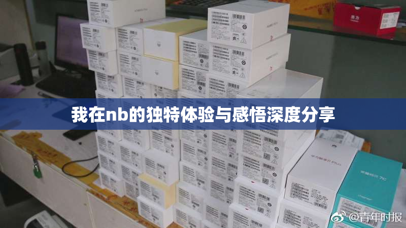 我在nb的独特体验与感悟深度分享